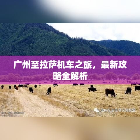 美轮美奂