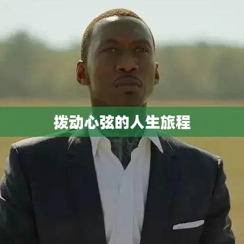 拨动心弦的人生旅程