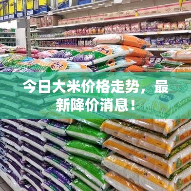 今日大米价格走势，最新降价消息！