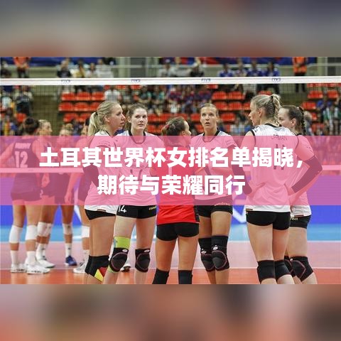 土耳其世界杯女排名单揭晓，期待与荣耀同行