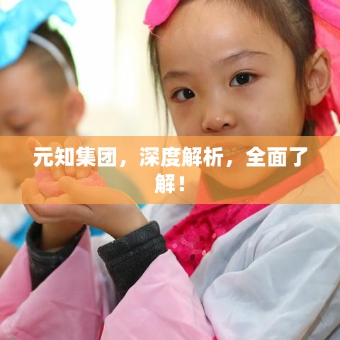 元知集团，深度解析，全面了解！