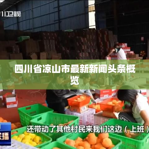 四川省凉山市最新新闻头条概览