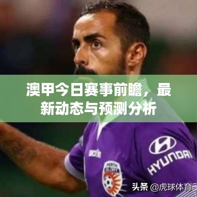 澳甲今日赛事前瞻，最新动态与预测分析
