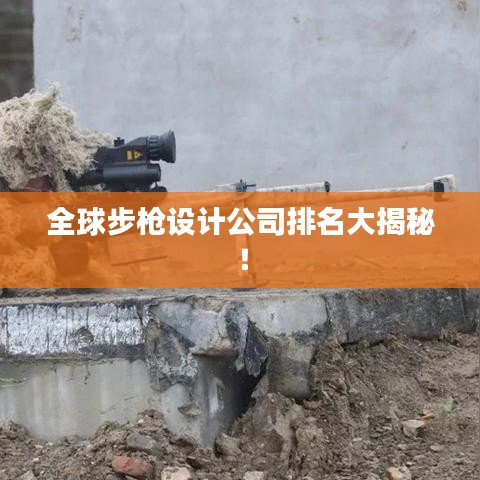 全球步枪设计公司排名大揭秘！
