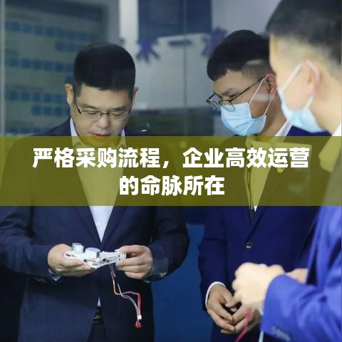 严格采购流程，企业高效运营的命脉所在