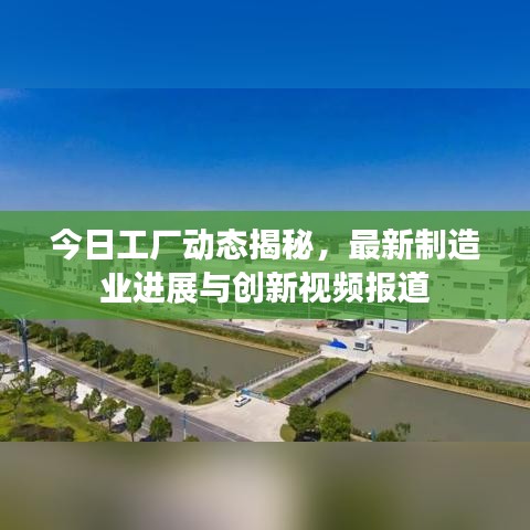 今日工厂动态揭秘，最新制造业进展与创新视频报道