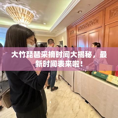 大竹琵琶采摘时间大揭秘，最新时间表来啦！