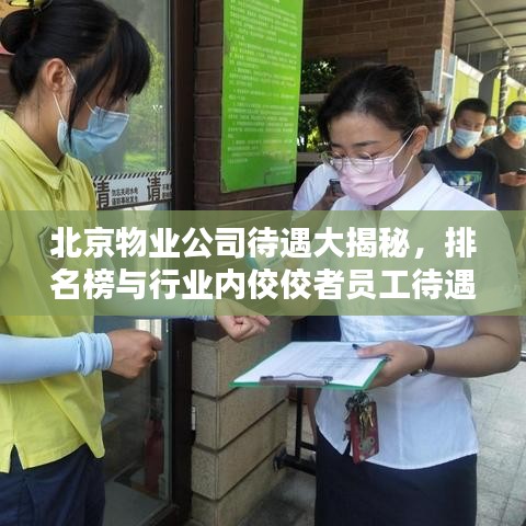 北京物业公司待遇大揭秘，排名榜与行业内佼佼者员工待遇一览