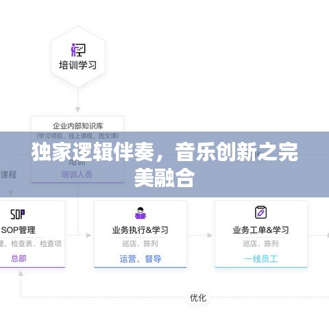 独家逻辑伴奏，音乐创新之完美融合