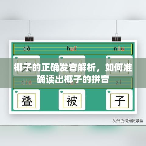 椰子的正确发音解析，如何准确读出椰子的拼音