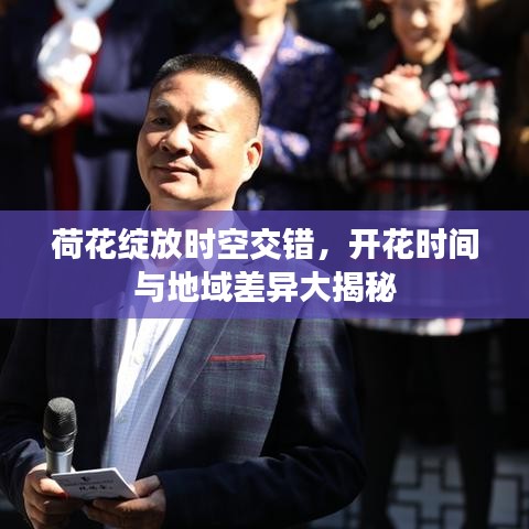 荷花绽放时空交错，开花时间与地域差异大揭秘