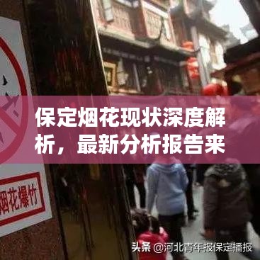 保定烟花现状深度解析，最新分析报告来袭