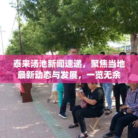 泰来汤池新闻速递，聚焦当地最新动态与发展，一览无余