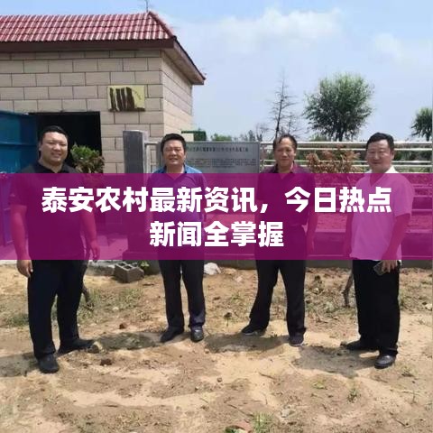 泰安农村最新资讯，今日热点新闻全掌握