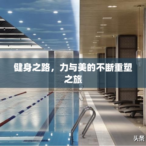 健身之路，力与美的不断重塑之旅