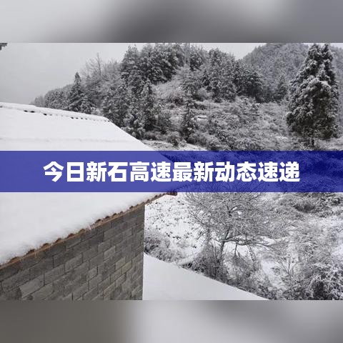 今日新石高速最新动态速递