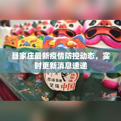 聂家庄最新疫情防控动态，实时更新消息速递