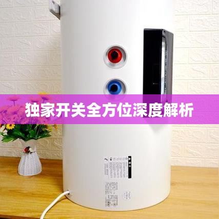 独家开关全方位深度解析