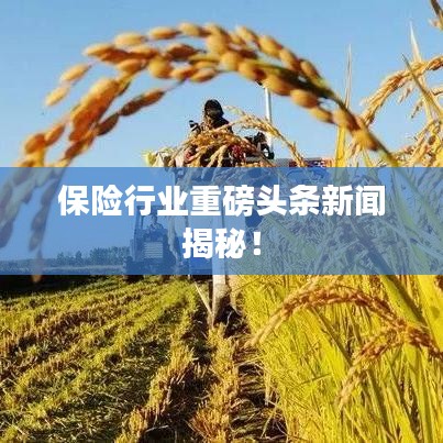 保险行业重磅头条新闻揭秘！