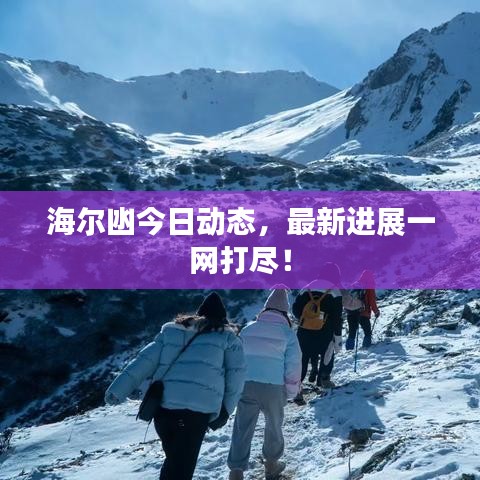 海尔凼今日动态，最新进展一网打尽！