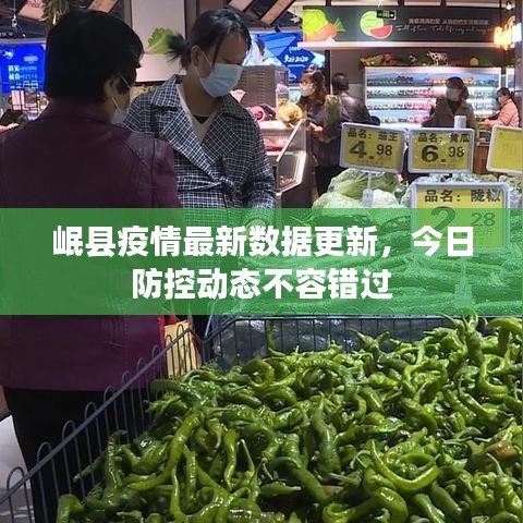 岷县疫情最新数据更新，今日防控动态不容错过