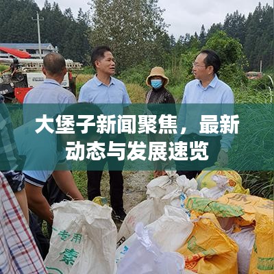 大堡子新闻聚焦，最新动态与发展速览