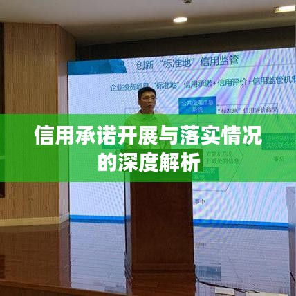 信用承诺开展与落实情况的深度解析