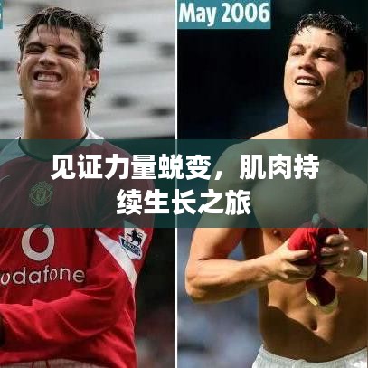 见证力量蜕变，肌肉持续生长之旅
