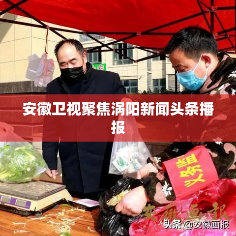 安徽卫视聚焦涡阳新闻头条播报