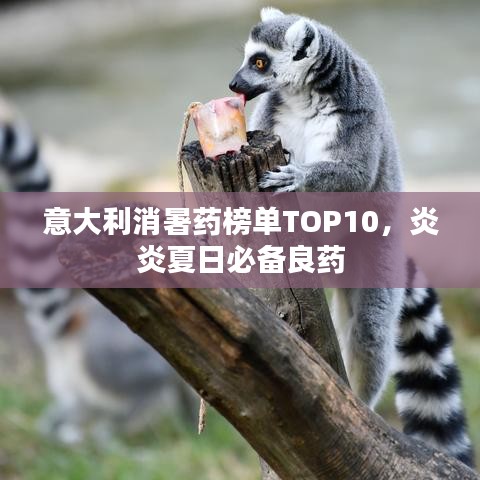 意大利消暑药榜单TOP10，炎炎夏日必备良药