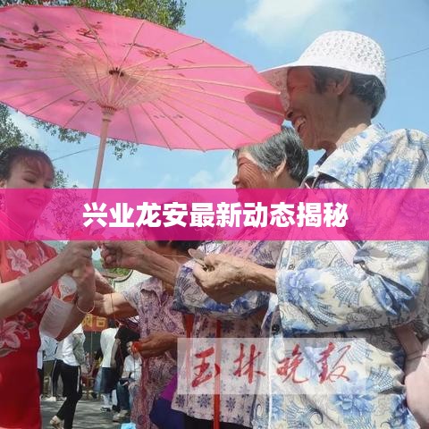 兴业龙安最新动态揭秘