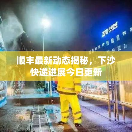 顺丰最新动态揭秘，下沙快递进展今日更新