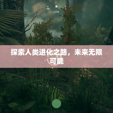 探索人类进化之路，未来无限可能
