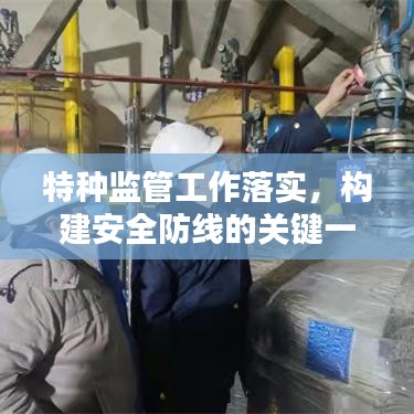 特种监管工作落实，构建安全防线的关键一环