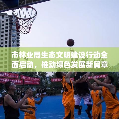 市林业局生态文明建设行动全面启动，推动绿色发展新篇章开启