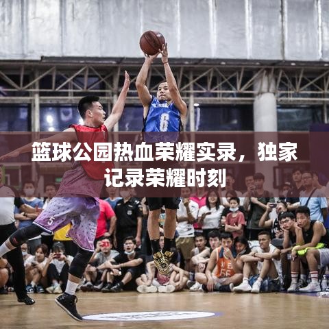 篮球公园热血荣耀实录，独家记录荣耀时刻