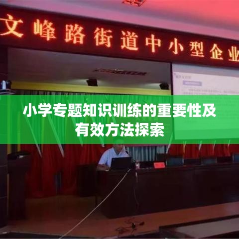 小学专题知识训练的重要性及有效方法探索