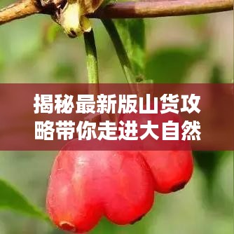 揭秘最新版山货攻略带你走进大自然的宝藏世界！