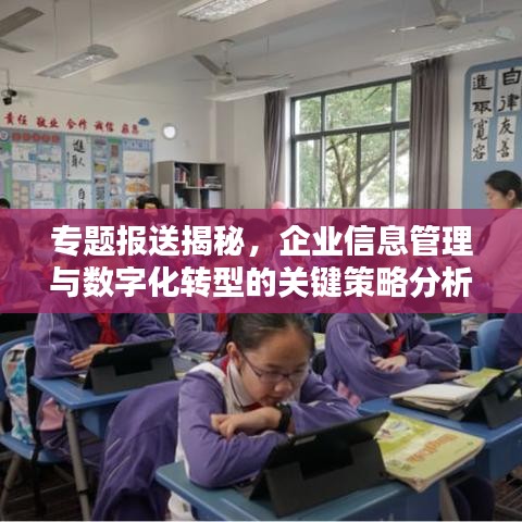 专题报送揭秘，企业信息管理与数字化转型的关键策略分析