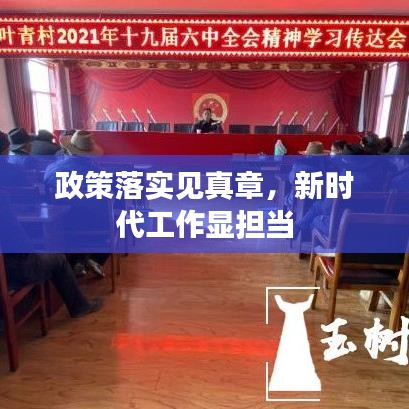 政策落实见真章，新时代工作显担当