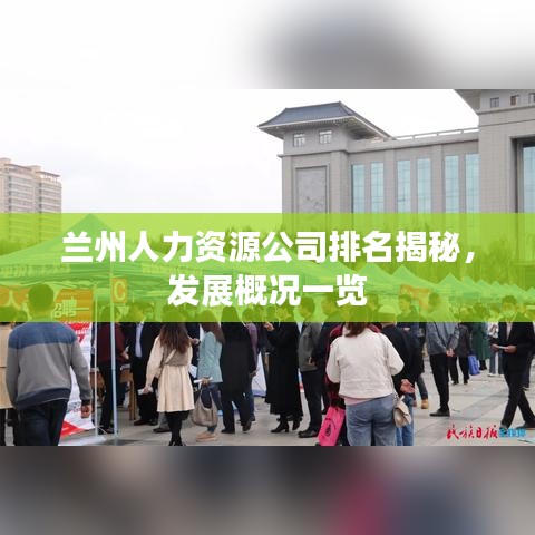 兰州人力资源公司排名揭秘，发展概况一览