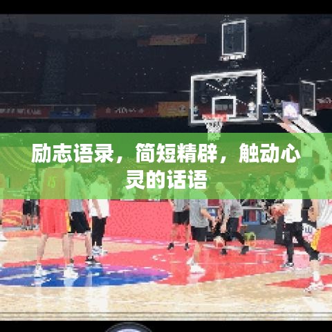 励志语录，简短精辟，触动心灵的话语