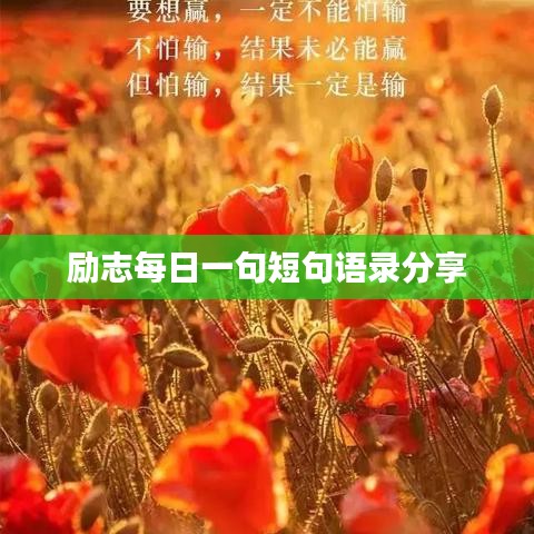 励志每日一句短句语录分享
