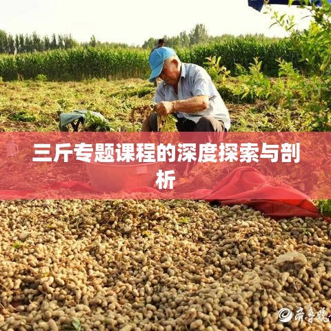 三斤专题课程的深度探索与剖析