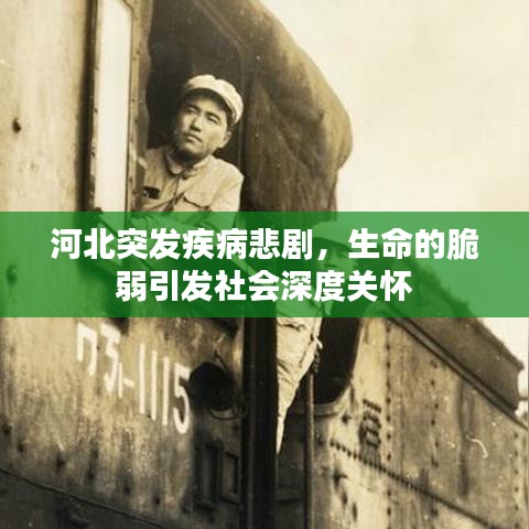 河北突发疾病悲剧，生命的脆弱引发社会深度关怀