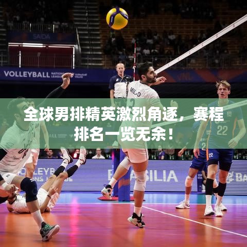 全球男排精英激烈角逐，赛程排名一览无余！