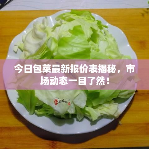 今日包菜最新报价表揭秘，市场动态一目了然！