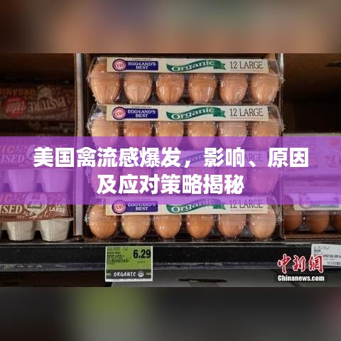 美国禽流感爆发，影响、原因及应对策略揭秘