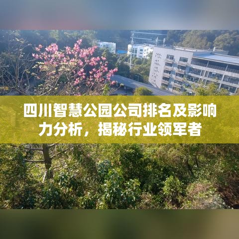 四川智慧公园公司排名及影响力分析，揭秘行业领军者