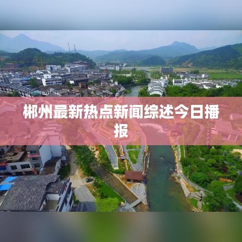 郴州最新热点新闻综述今日播报